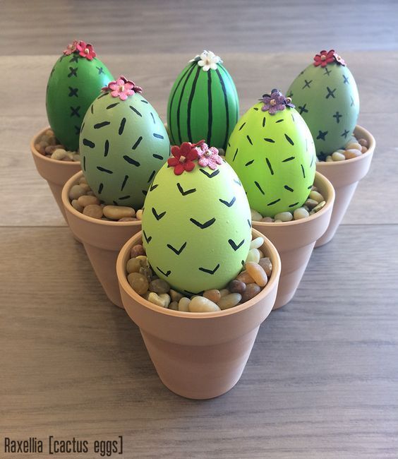 Huevo cactus